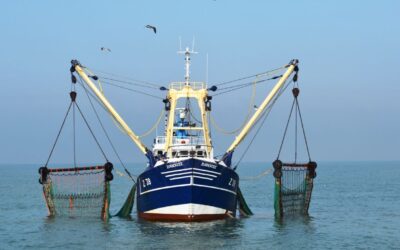 Σχέδια Παραγωγής και Εμπορίας για την Αλιεία και την Υδατοκαλλιέργεια